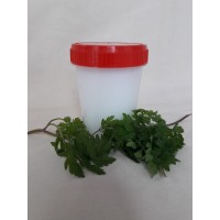 Мазь безвременника (колхаминовая) 