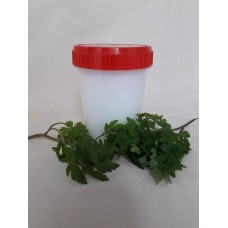 Мазь для лечения мастопатии